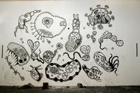  Author: Marcel·lí Antúnez Roca. Photo: Carles Rodriguez. <a href='https://www.marceliantunez.com/media/img/work/29DIBUIXANT_MURAL_BACTERIA_1.jpg' target='_blank'>Download original</a> <span style='color:transparent'>383</span>