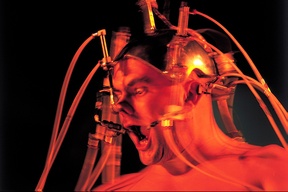 Epizoo 1994. Interactive Performance. Detail