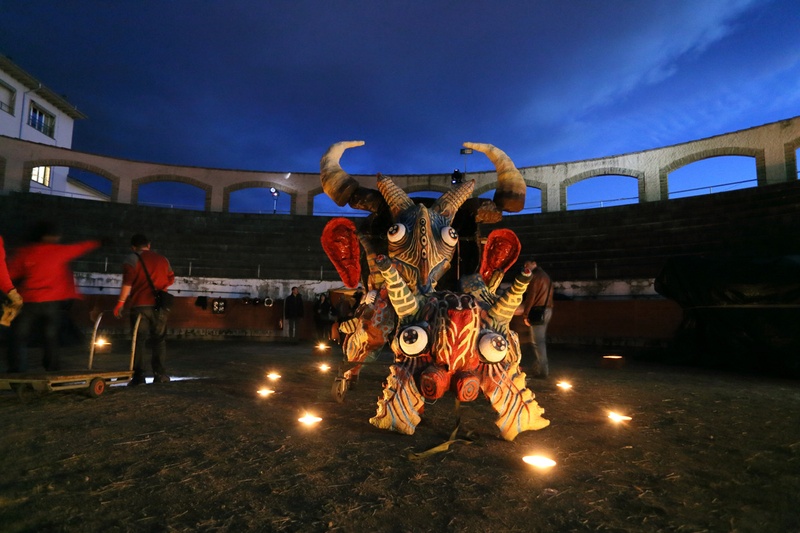 Instal·lació_Orgaferes-LLuernia. Photo: Carles Rodríguez.