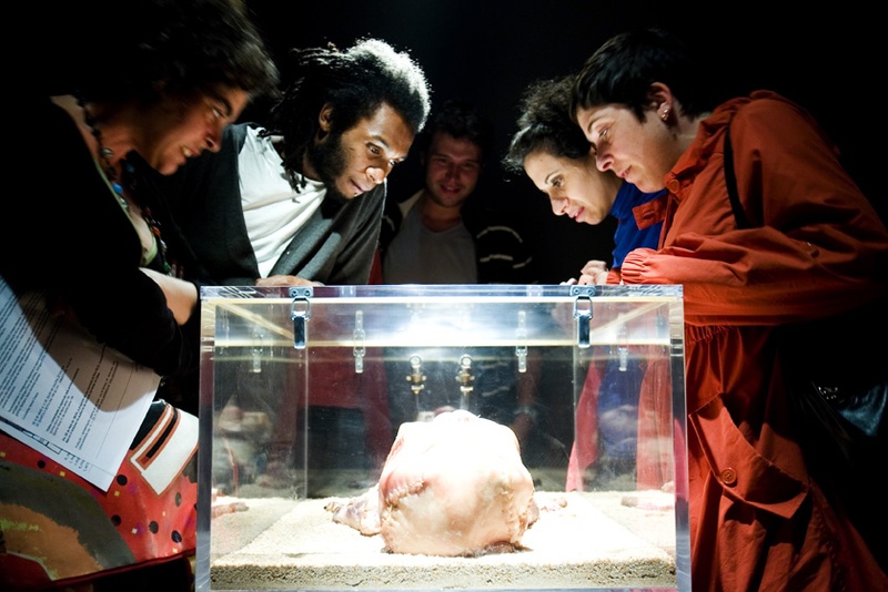 Metzina, 2004. Bioinstallation. Author: Marcel·lí Antúnez Roca. Photo: Carles Rodriguez.