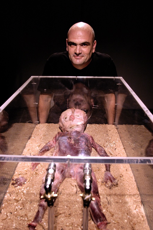 METZINA. 2004 Bioinstallation. 1 day detail view. Metronom Gallery Barcelona. Author: Marcel·lí Antúnez Roca. Photo: Carles Rodriguez.